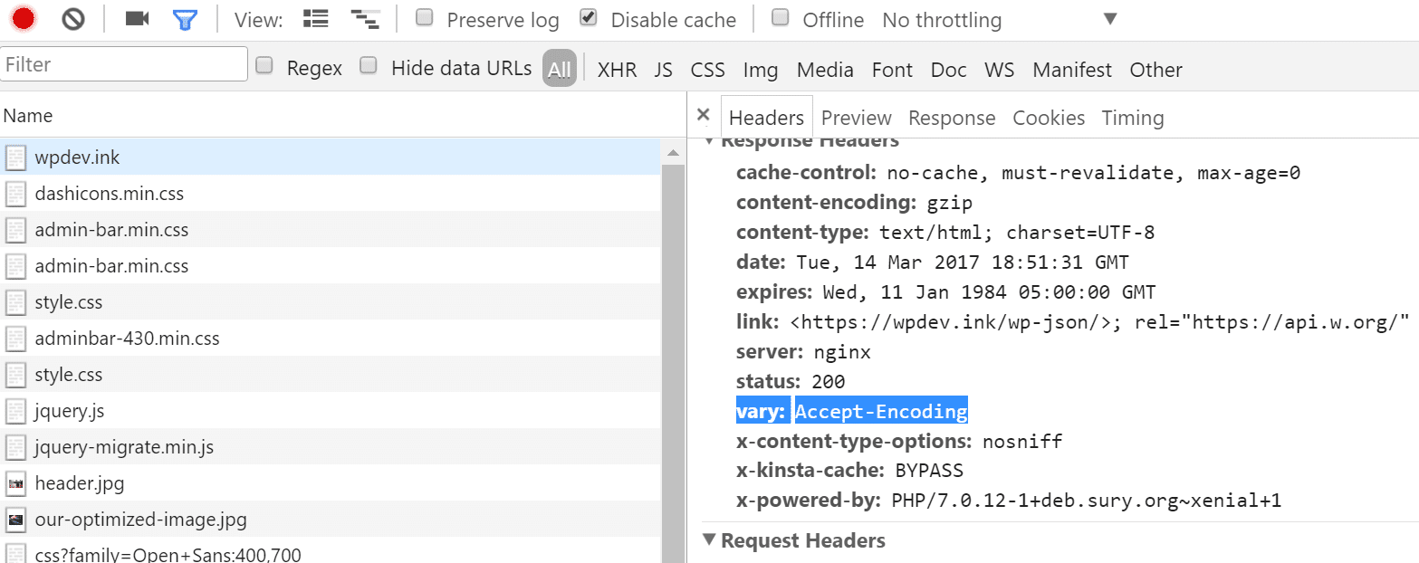 vary-accept-encoding-header-wp-speeds